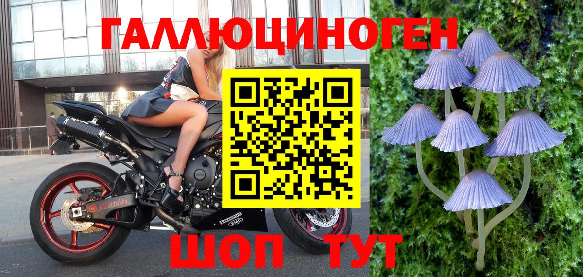 Кохма  Галлюциногенные грибы MAGIC MUSHROOMS  Вход с VPN 
